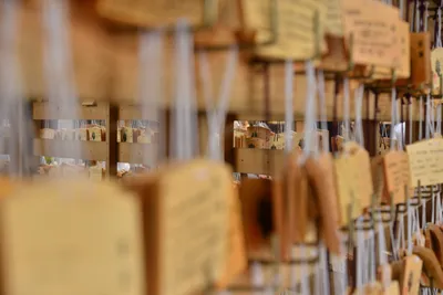 DSC_3321 (Large).JPG